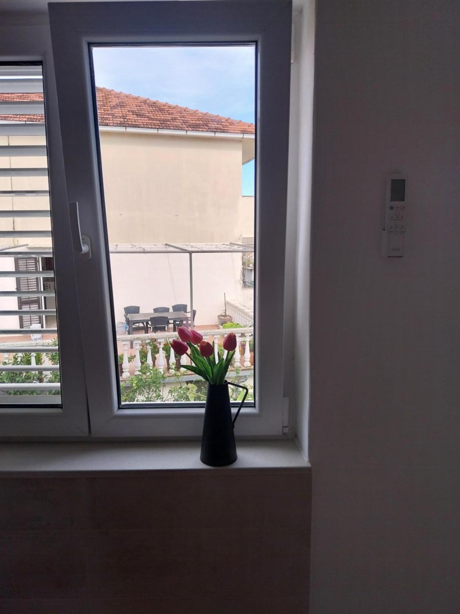 Apartmani Miletic 젤사 외부 사진